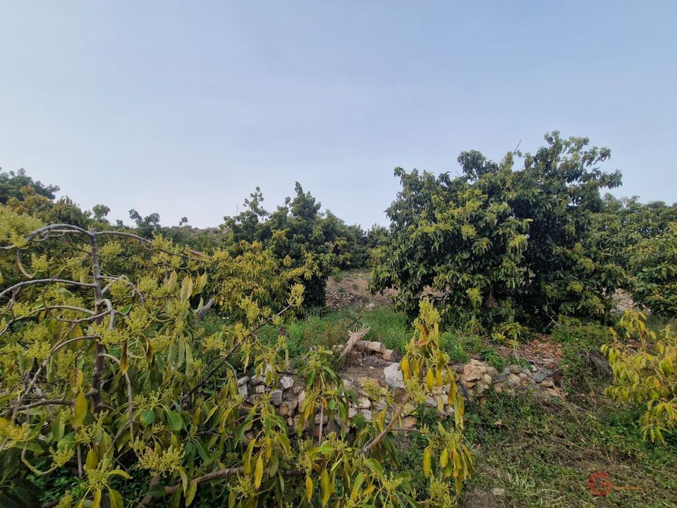 Finca i Itrabo, Granada - foto 2