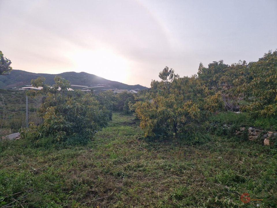 Finca i Itrabo, Granada - foto 3