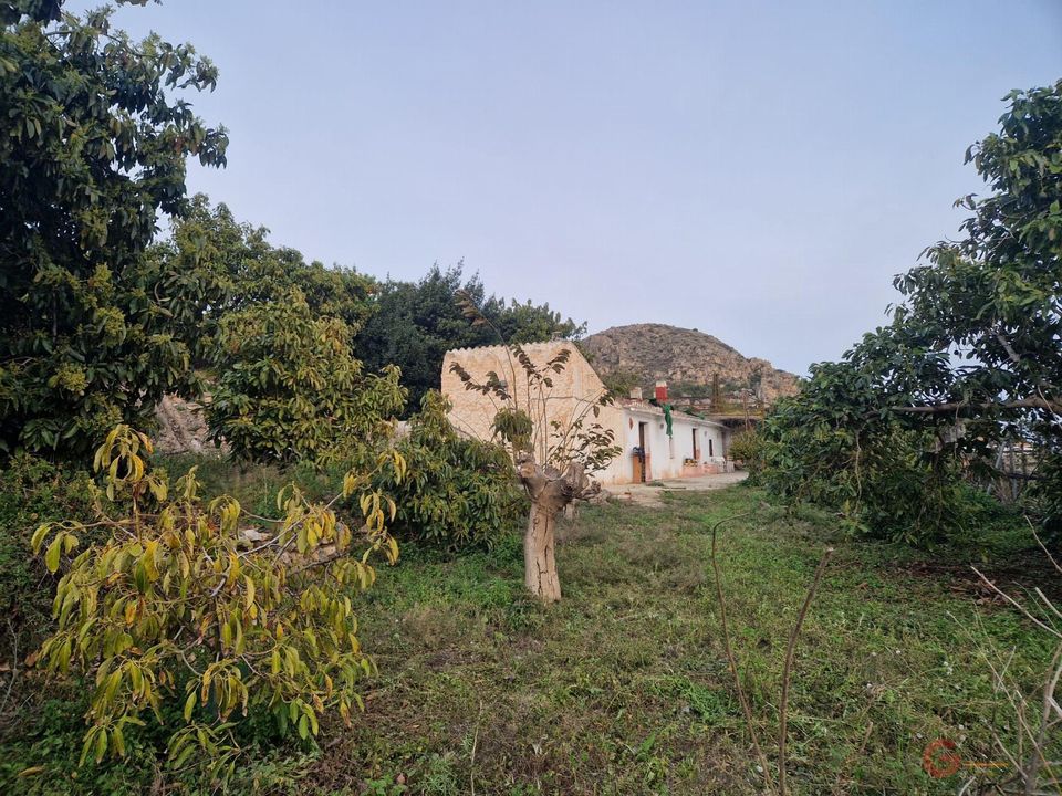 Finca i Itrabo, Granada - foto 4
