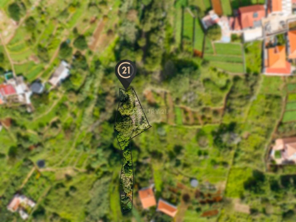 Helårsgrund i Santa Cruz, Madeira - foto 5