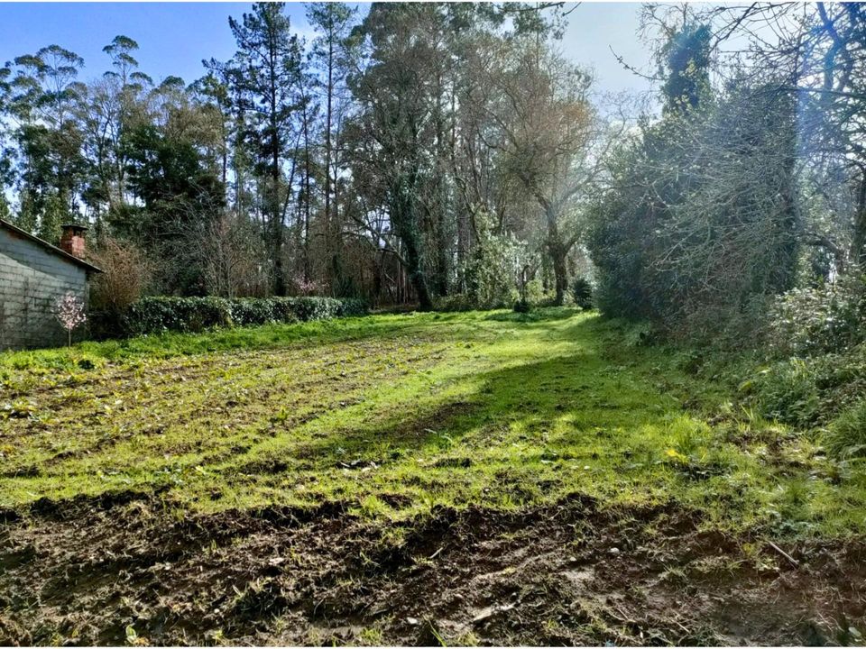 Terreno en Touro (Castineiras), Coruna - foto 1