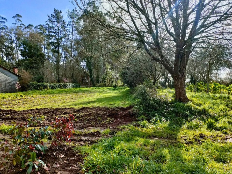 Terreno en Touro (Castineiras), Coruna - foto 2
