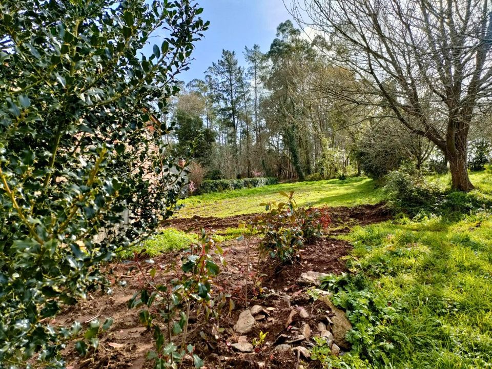 Terreno en Touro (Castineiras), Coruna - foto 3