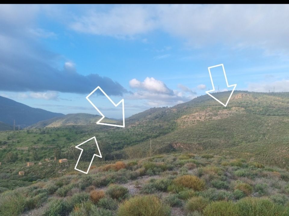 Helårsgrund i Orgiva, Granada - foto 5