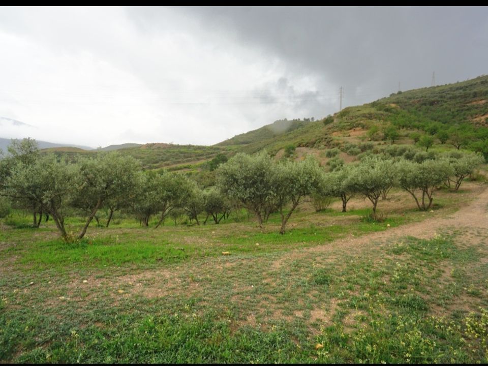 Helårsgrund i Orgiva, Granada - foto 1