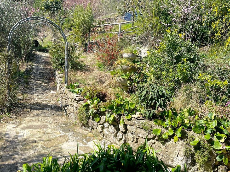 Villa i Tresana, Massa and Carrara - foto 5