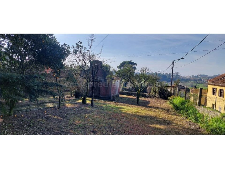 Farm i Vila do Conde, Porto - foto 5