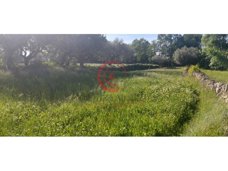 Farm i Eiras, Sao Juliao de Montenegro e Cela, Vila Real - foto 1