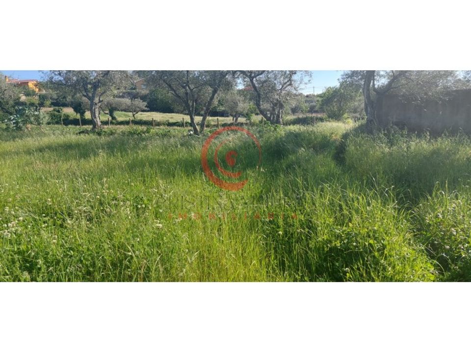 Farm i Eiras, Sao Juliao de Montenegro e Cela, Vila Real - foto 2