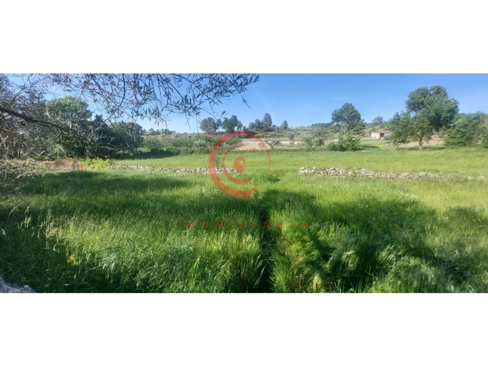 Farm i Eiras, Sao Juliao de Montenegro e Cela, Vila Real - foto 5