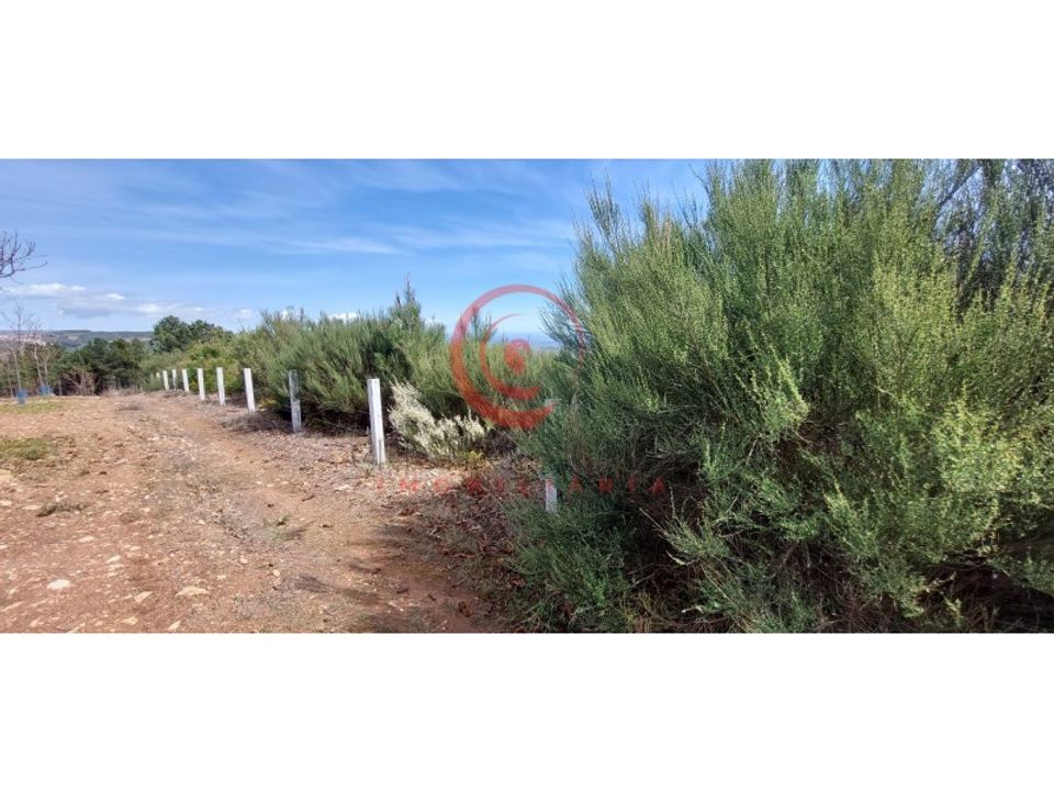 Tomt i Murca, Vila Real - foto 1