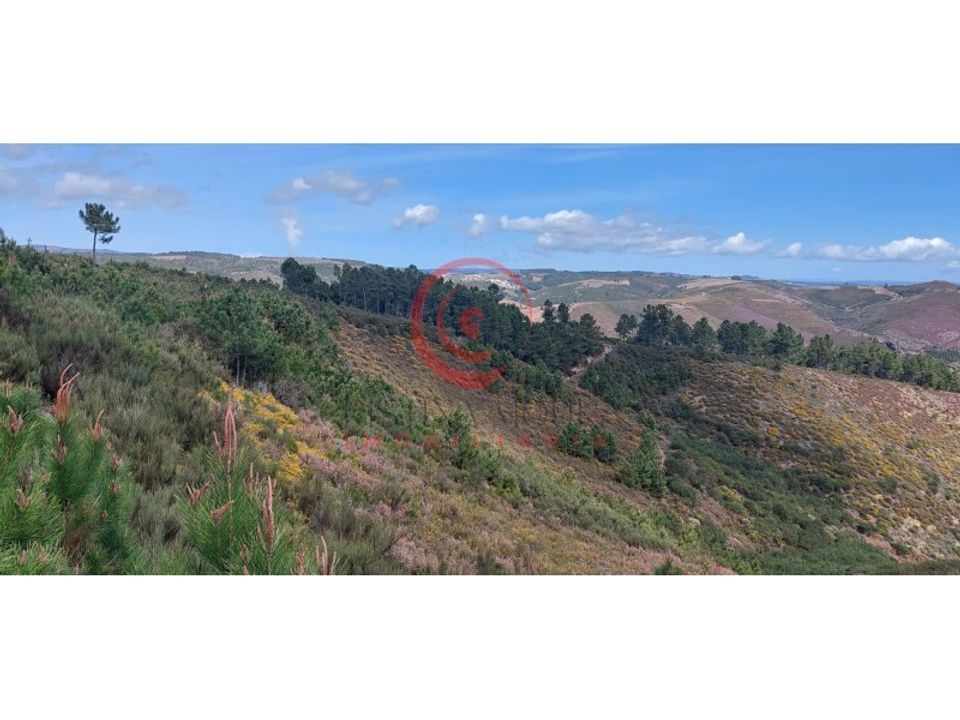 Tomt i Murca, Vila Real - foto 5