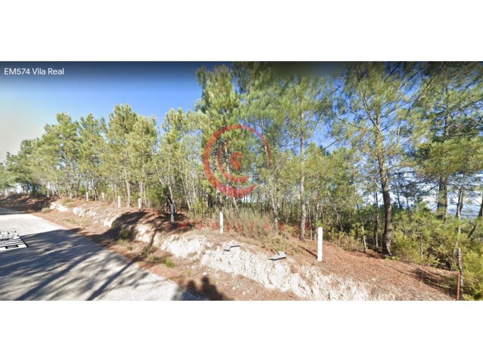 Tomt i Jou, Vila Real - bilde 4