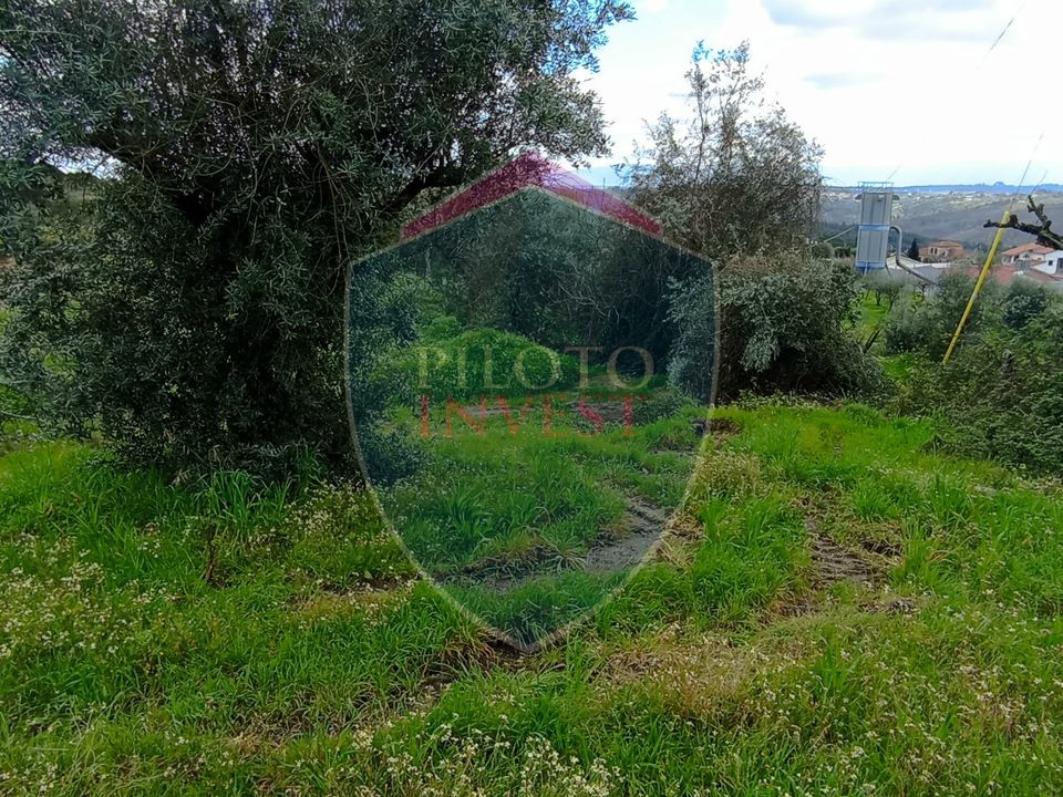 Helårsgrund i Viseu, Viseu - foto 1