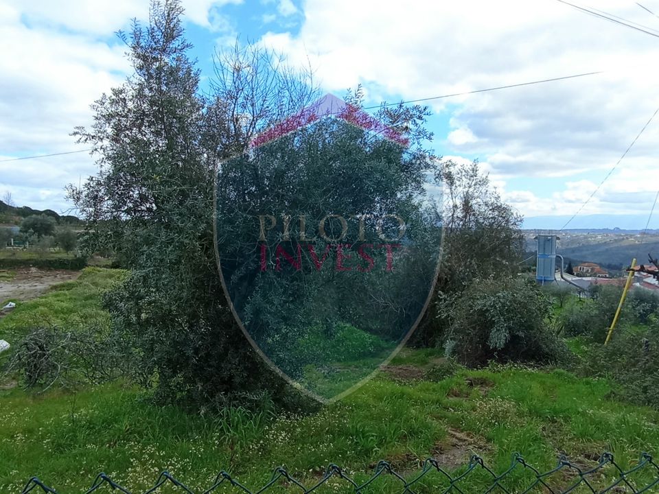 Helårsgrund i Viseu, Viseu - foto 3