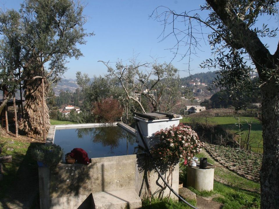 Farm i Amarante, Porto - foto 3