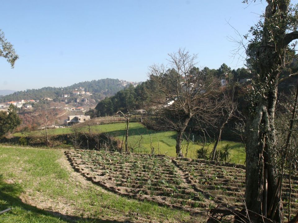 Farm i Amarante, Porto - foto 4