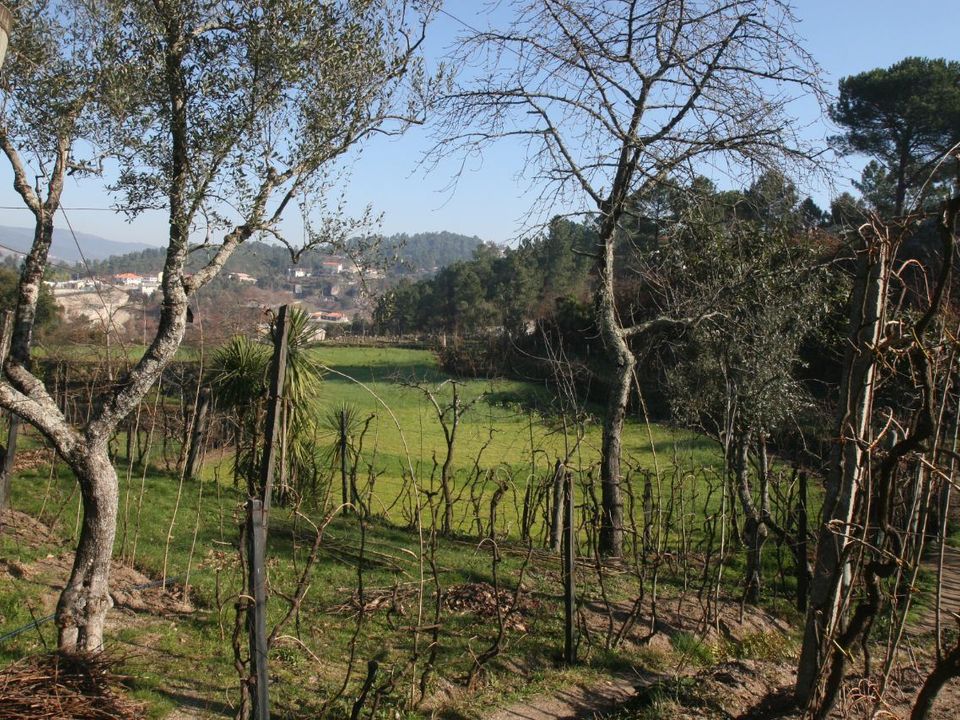 Farm i Amarante, Porto - foto 5