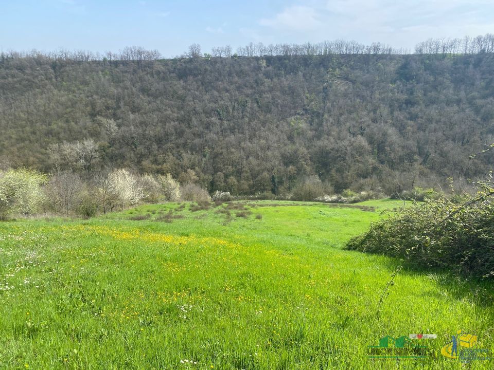 Erhvervsejendom i Medesano, Parma - foto 1