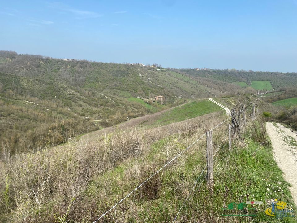 Erhvervsejendom i Medesano, Parma - foto 4