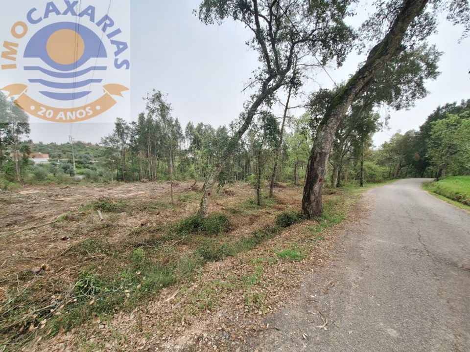 Helårsgrund i Ourem, Santarem - foto 3