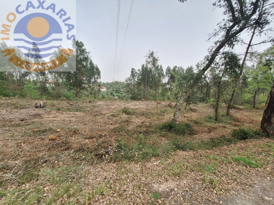 Helårsgrund i Ourem, Santarem - foto 4