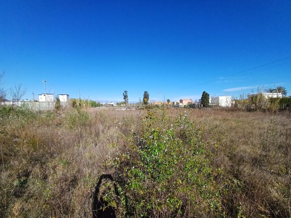 Helårsgrund i Oliva, Valencia - foto 3