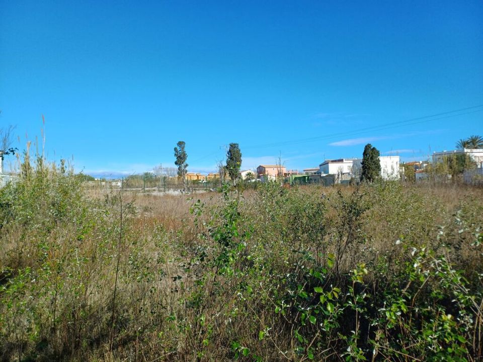 Helårsgrund i Oliva, Valencia - foto 2