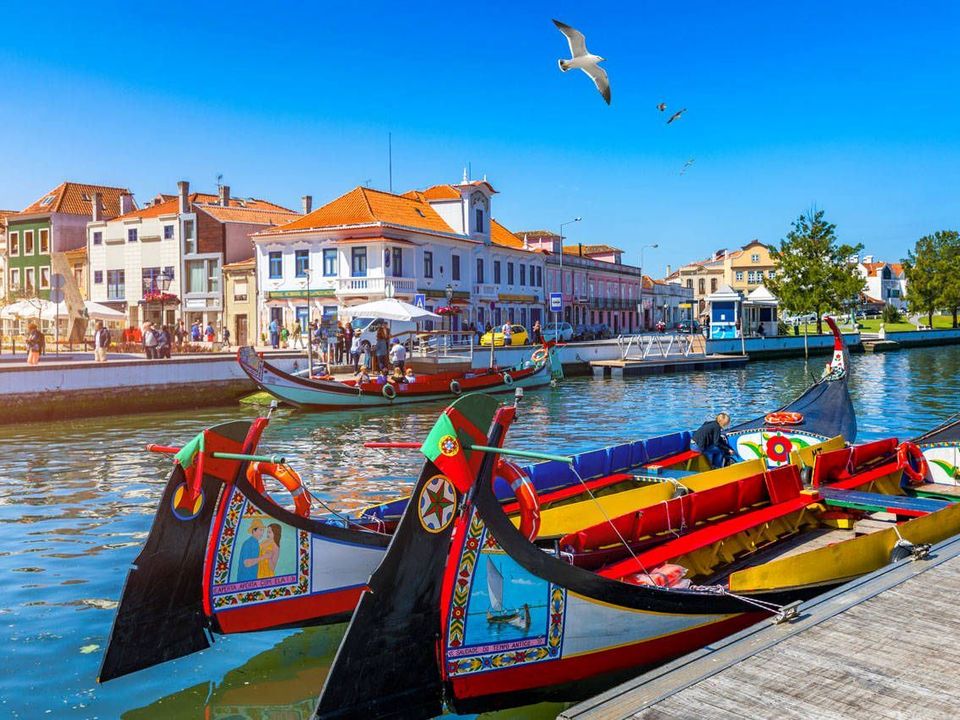 Helårsgrund i Oliveira do Bairro, Aveiro - foto 3