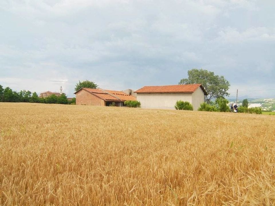 Landejendom i Carrù, Cuneo - foto 1