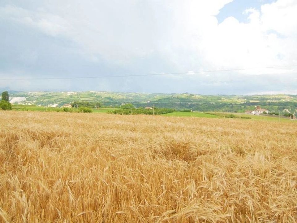 Landejendom i Carrù, Cuneo - foto 2