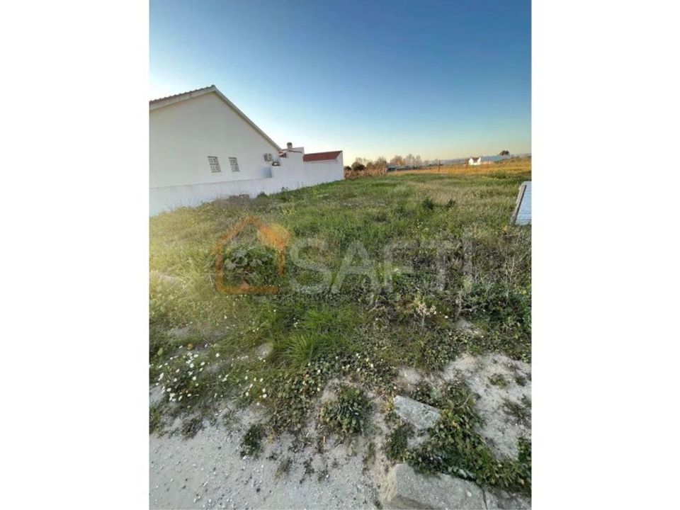 Helårsgrund i Alpiarca, Santarem - foto 4