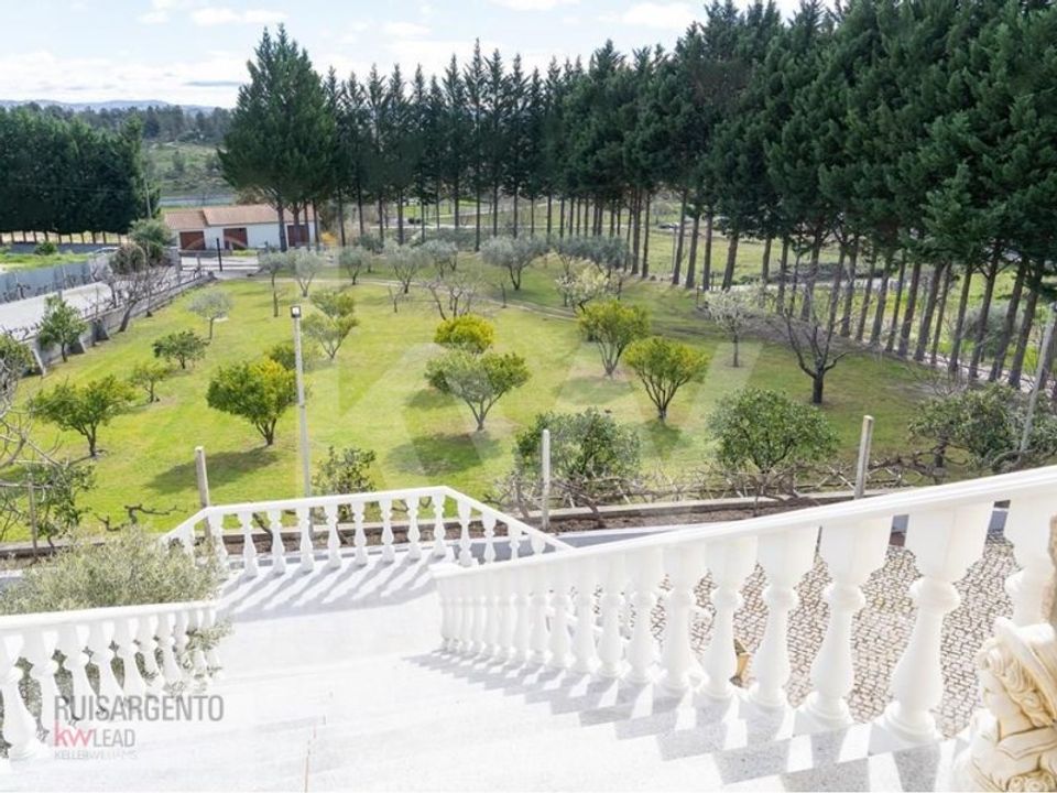 Farm i Belmonte, Castelo Branco - foto 2