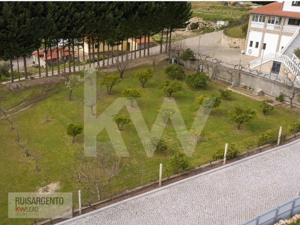 Farm i Belmonte, Castelo Branco - foto 4