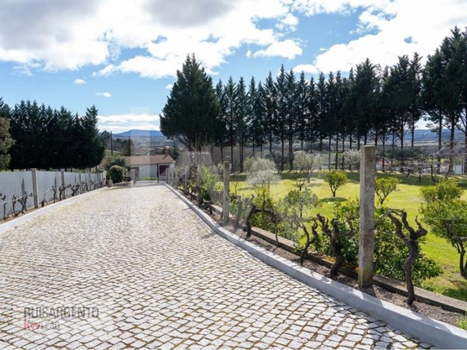 Farm i Belmonte, Castelo Branco - foto 5