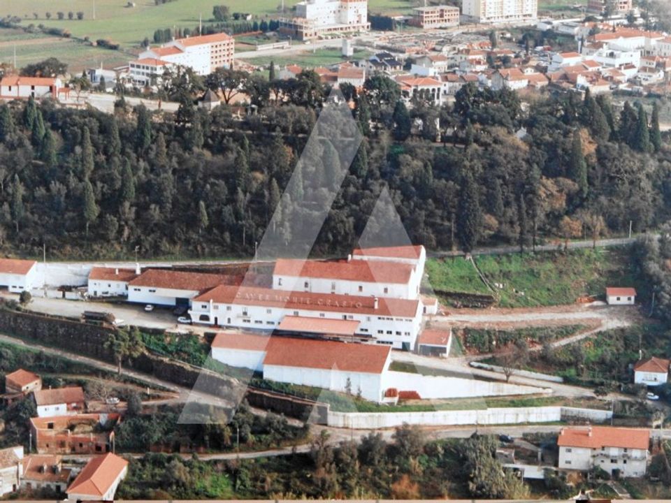 Erhvervsejendom i Anadia, Aveiro - foto 2