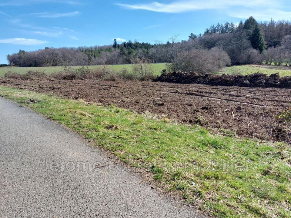 Helårsgrund i Montaignac-sur-Doustre, Correze - foto 2
