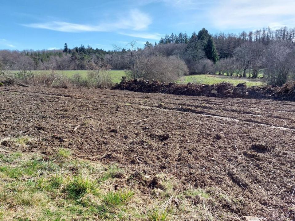 Helårsgrund i Montaignac-sur-Doustre, Correze - foto 5