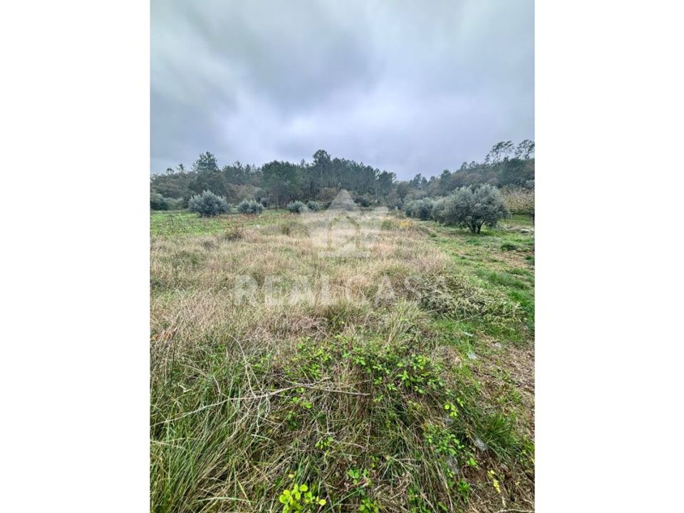 Helårsgrund i Batalha, Leiria - foto 2