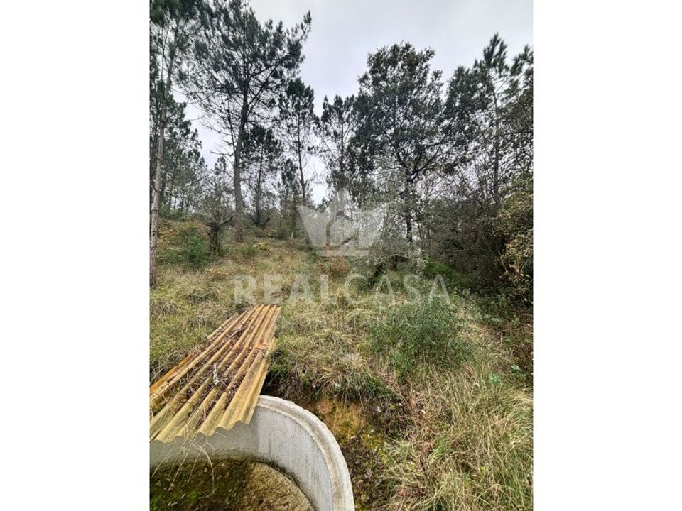 Helårsgrund i Batalha, Leiria - foto 4