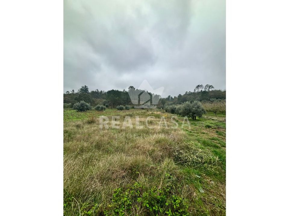 Helårsgrund i Batalha, Leiria - foto 5