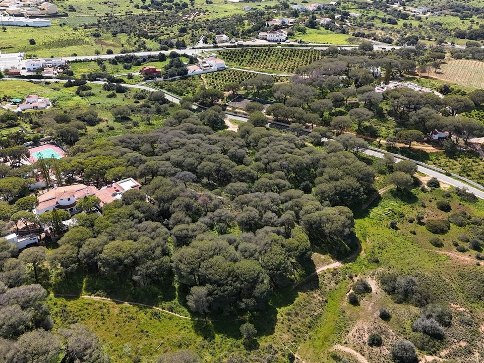 Helårsgrund i Lagoa, Faro - foto 4