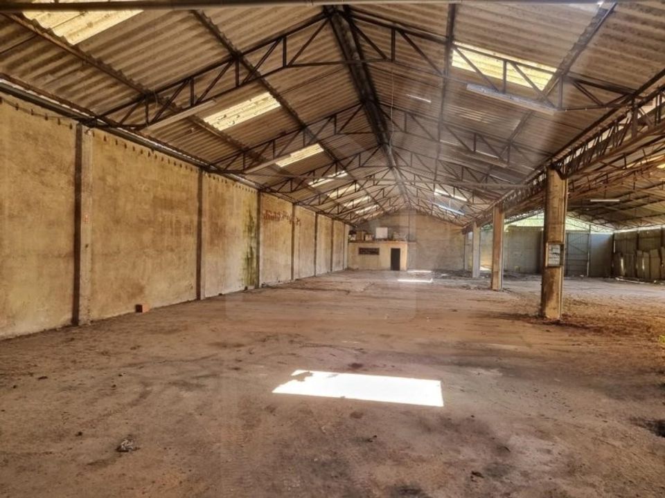 Erhvervsejendom i Anadia, Aveiro - foto 3
