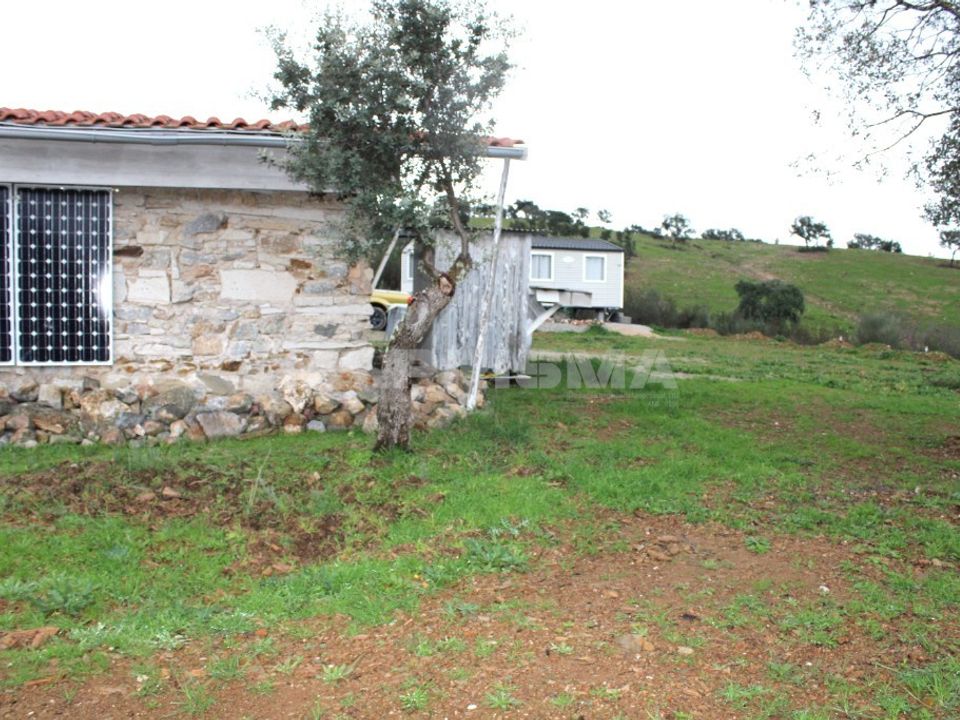 Farm i Castelo Branco, Castelo Branco - foto 2