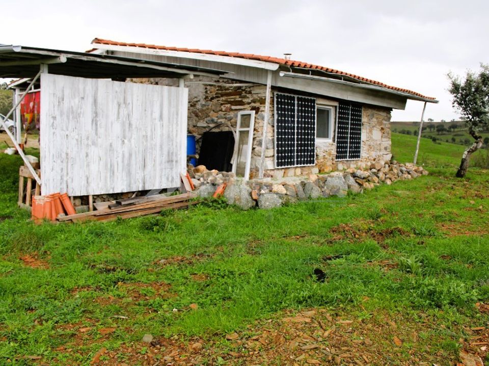 Farm i Castelo Branco, Castelo Branco - foto 5
