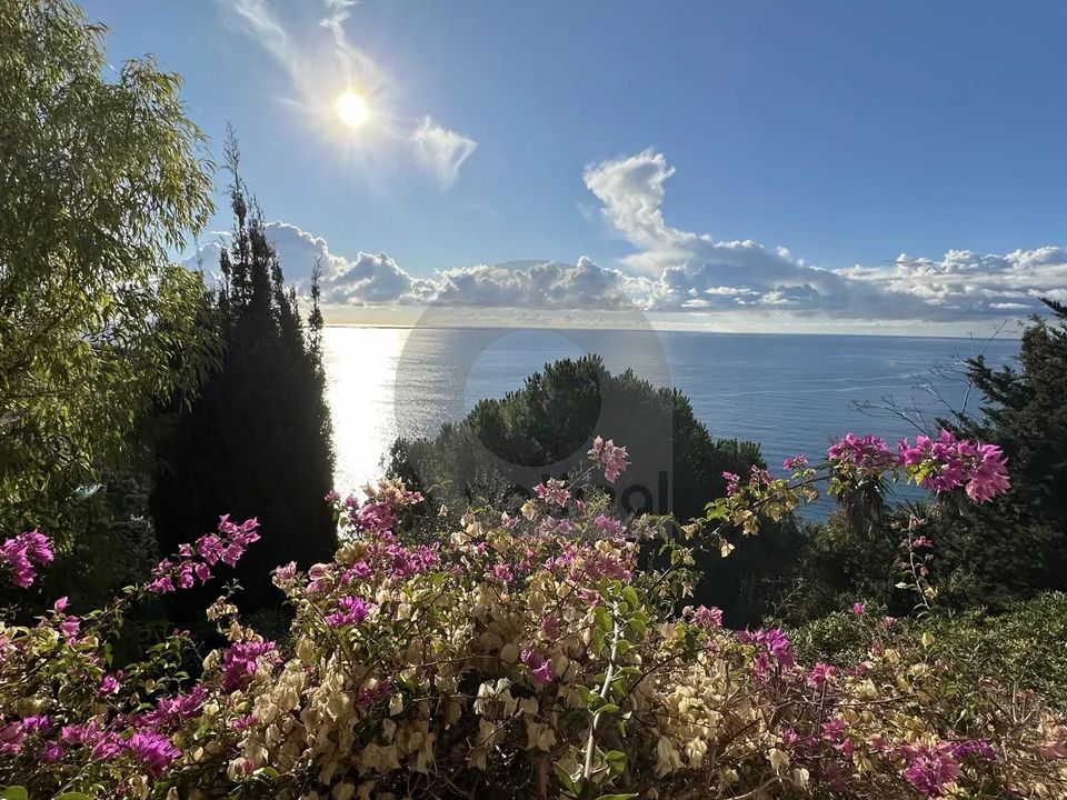 Villa i Roquebrune-Cap-Martin, Alpes-Maritimes - foto 1