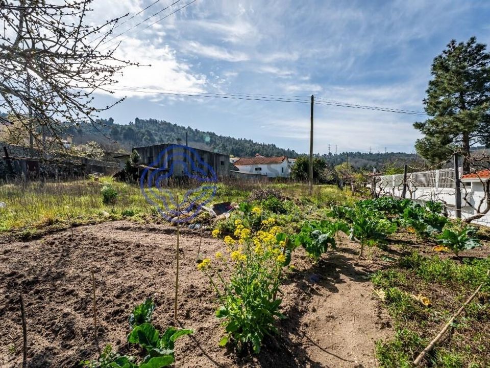 Tomt i Armamar, Viseu - bilde 2