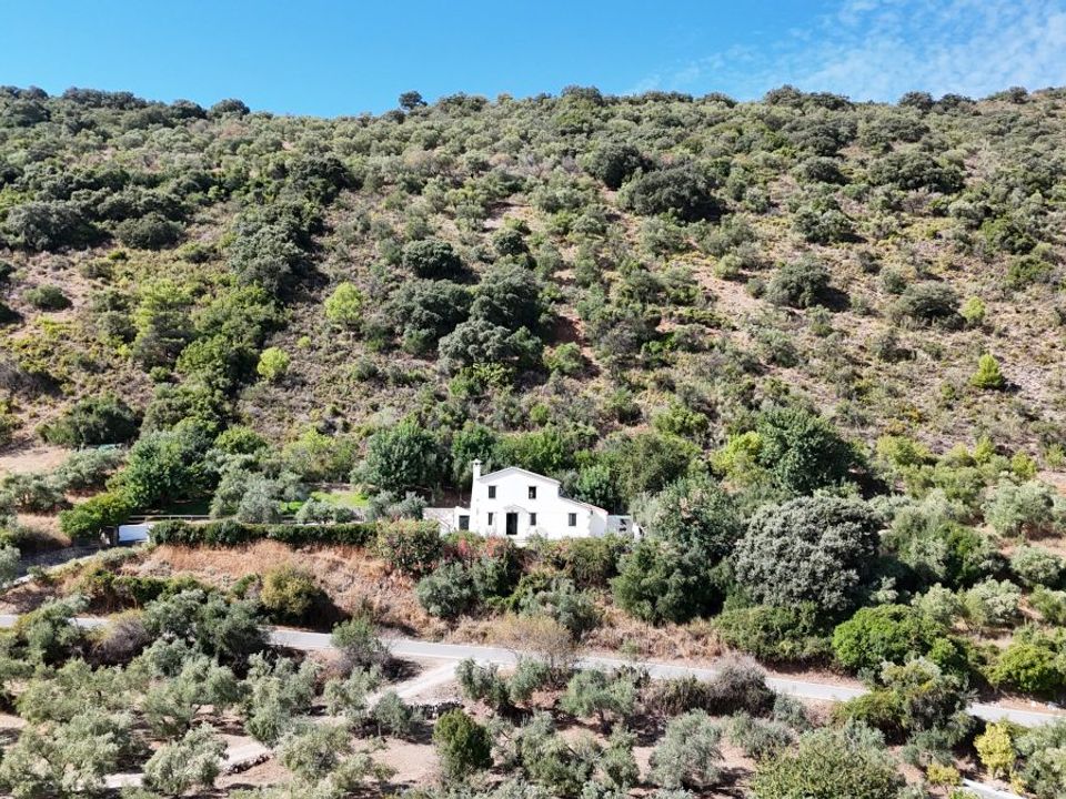 Finca i Zahara De La Sierra, Cadiz - foto 3