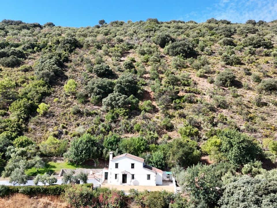 Finca i Zahara De La Sierra, Cadiz - foto 4