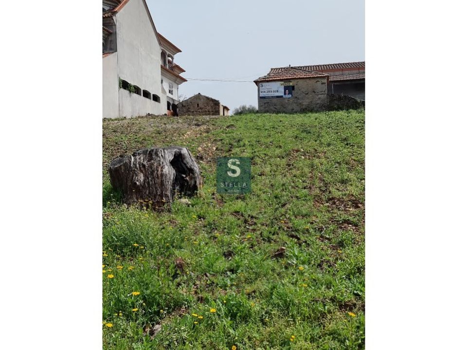 Helårsgrund i Mortagua, Viseu - foto 4